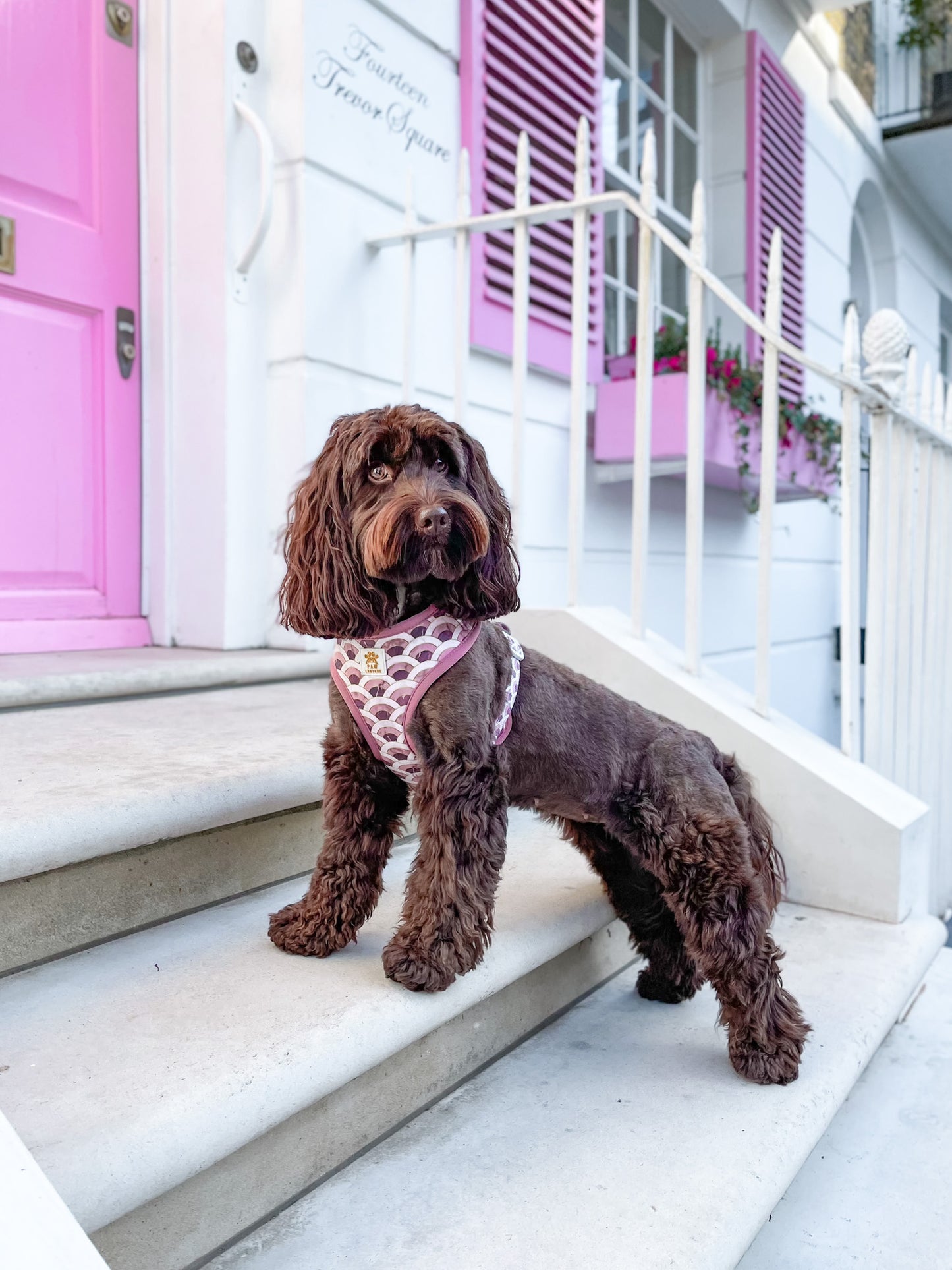 Marble Arch Adjustable Harness
