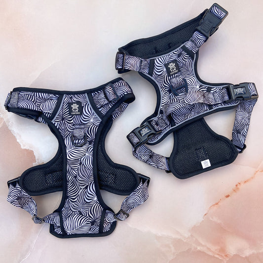 Onyx Jungle Hercules Harness for Big Dogs