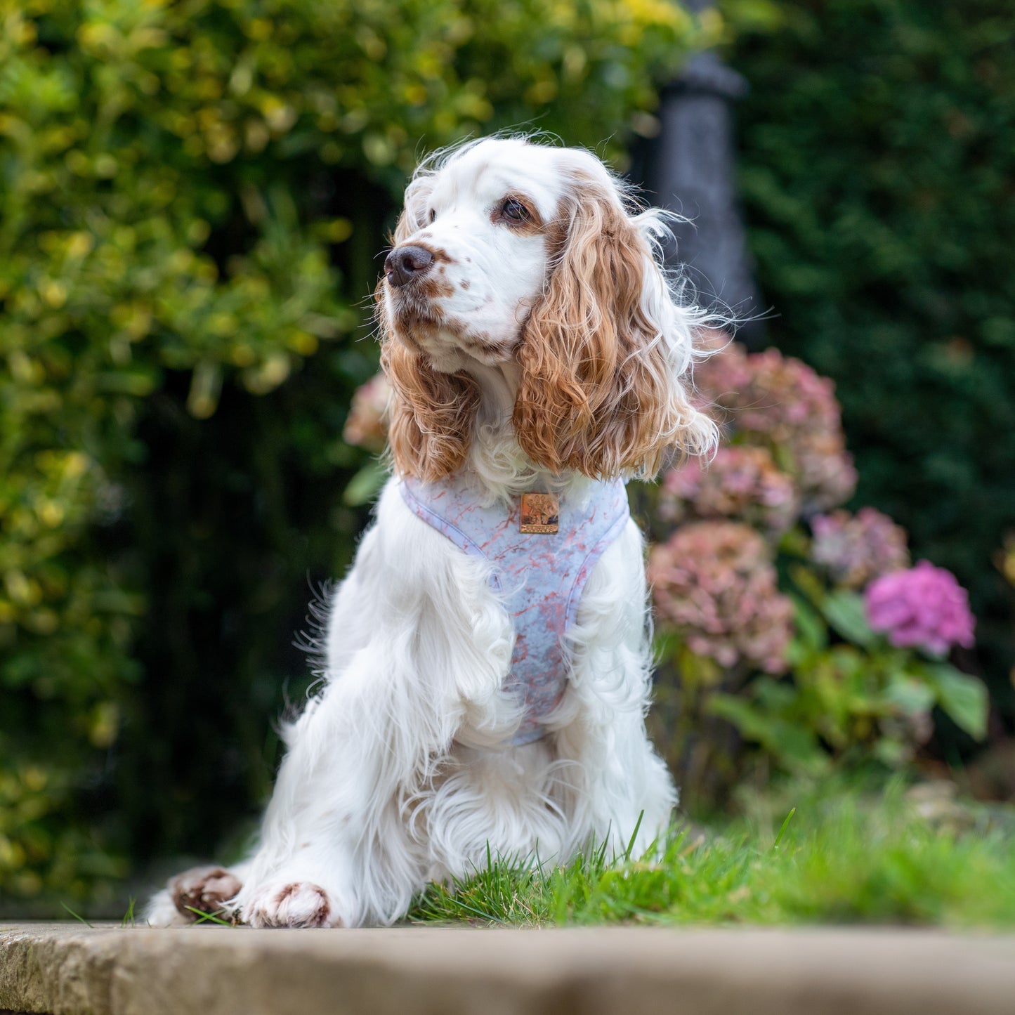 Rose Gold Marble Adjustable Harness & Lead Bundle