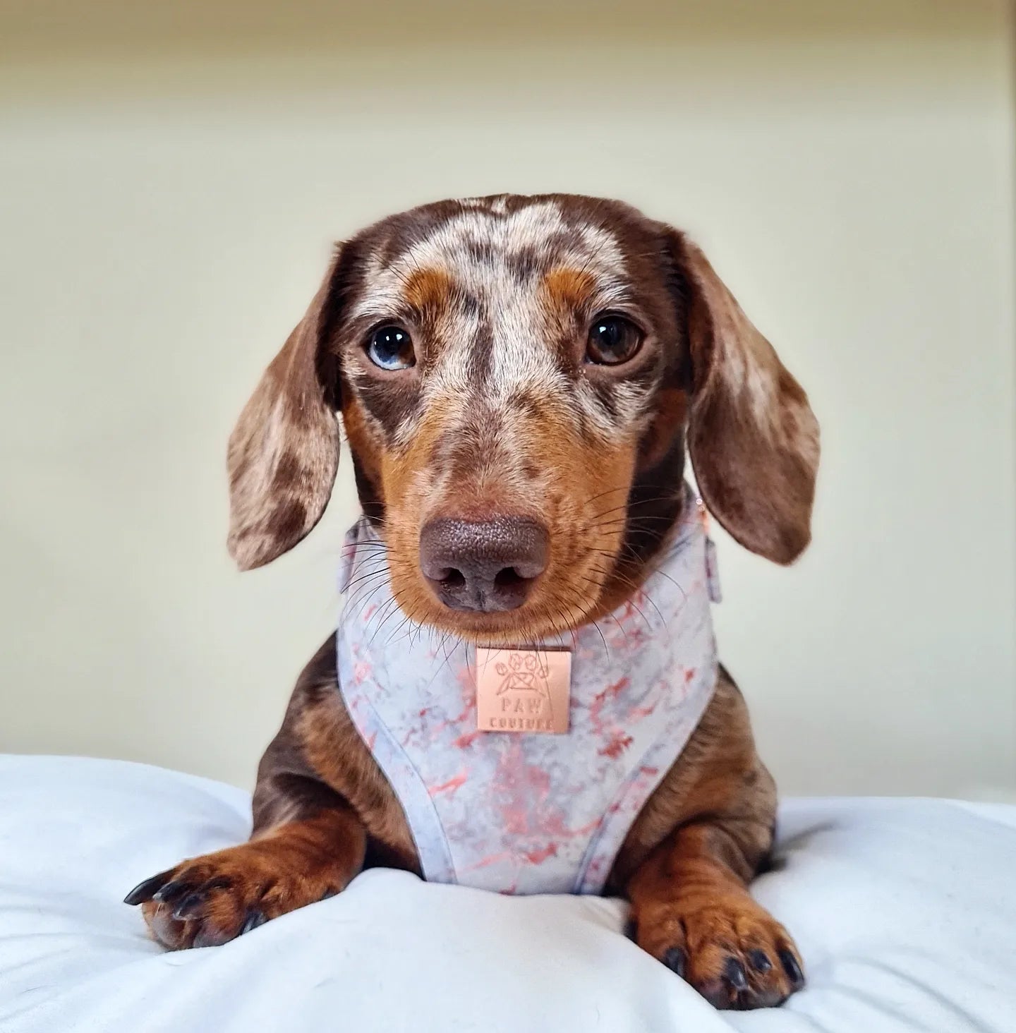 Rose Gold Marble Deluxe Adjustable Harness