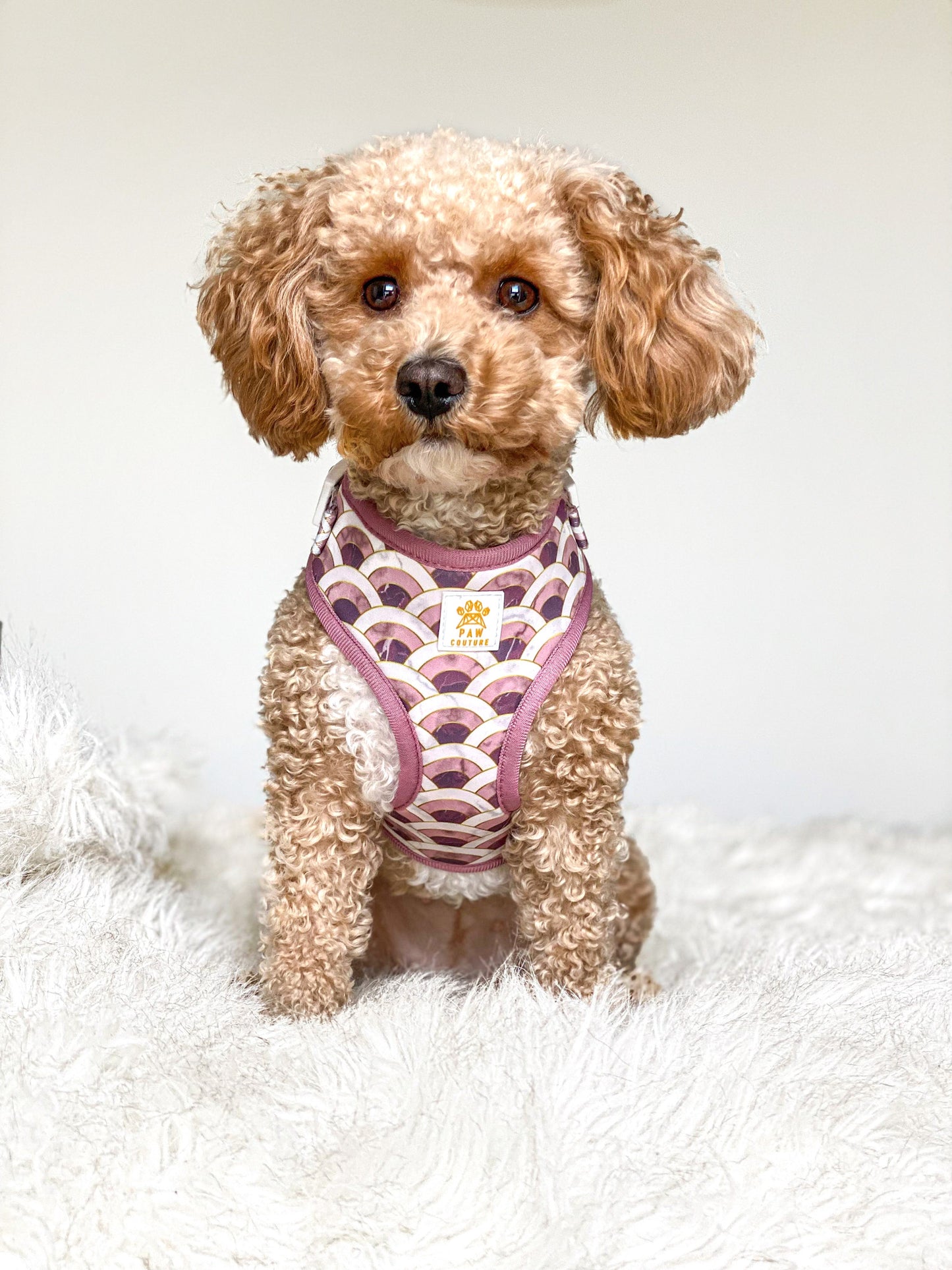 Marble Arch Adjustable Harness