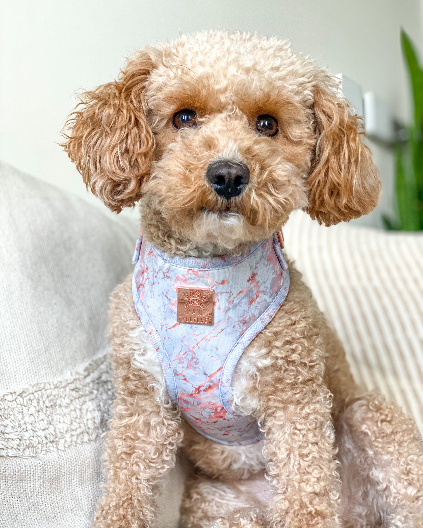 Rose Gold Marble Deluxe Adjustable Harness