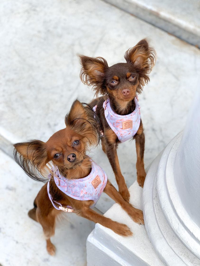 Rose Gold Marble Deluxe Adjustable Harness