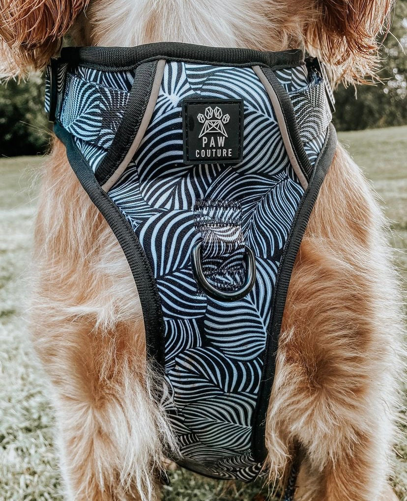 Onyx Jungle Hercules Harness for Big Dogs