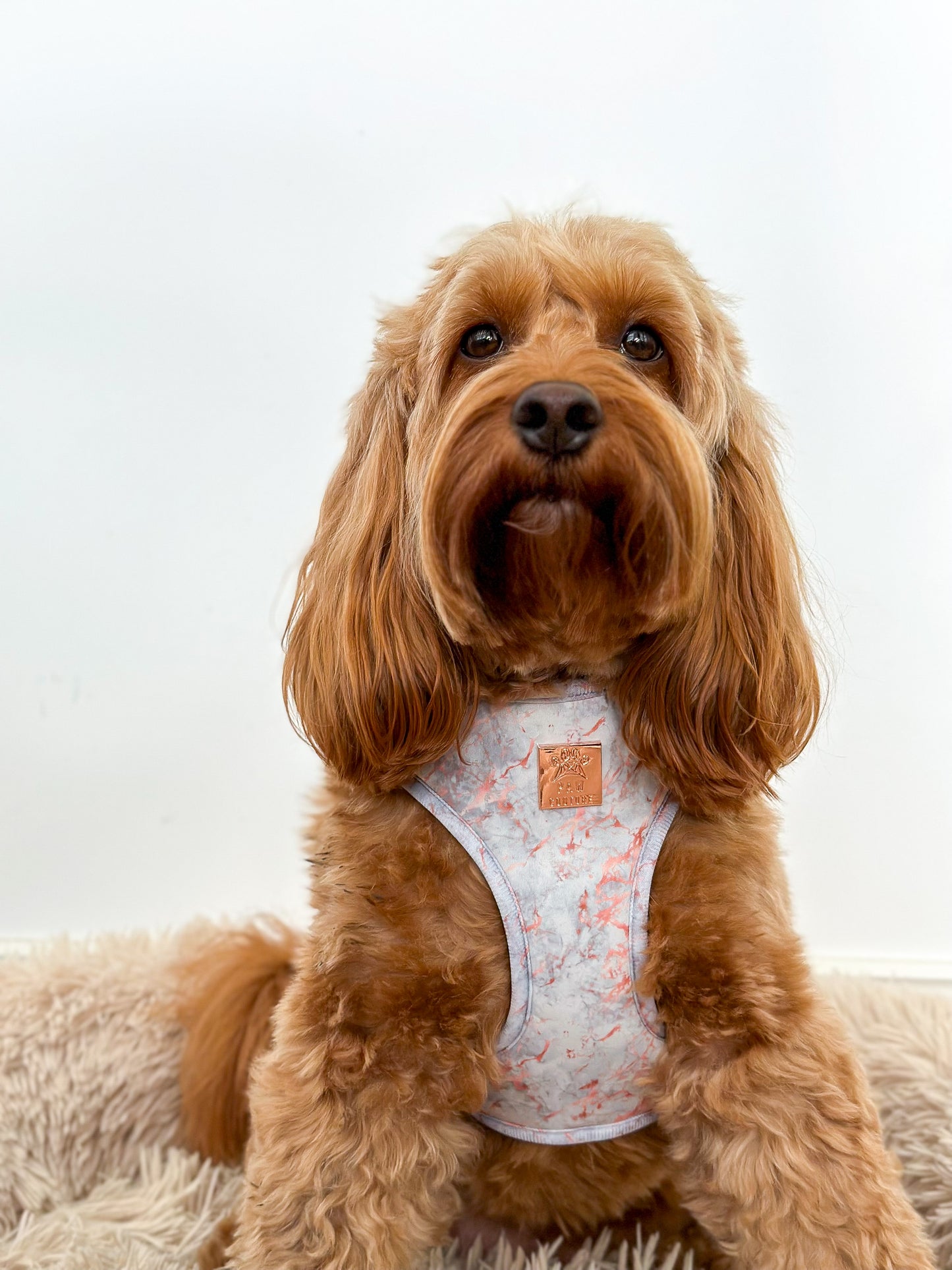 Rose Gold Marble Deluxe Adjustable Harness