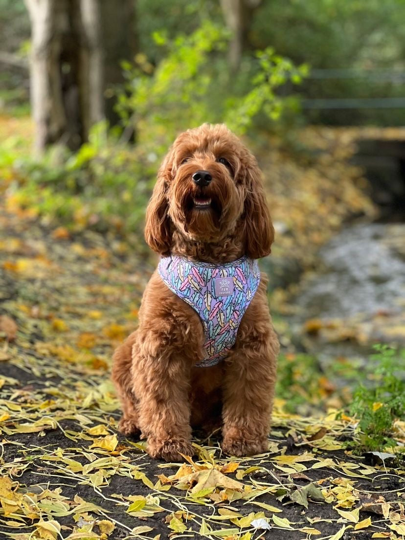 Lookin' Fly Adjustable Harness