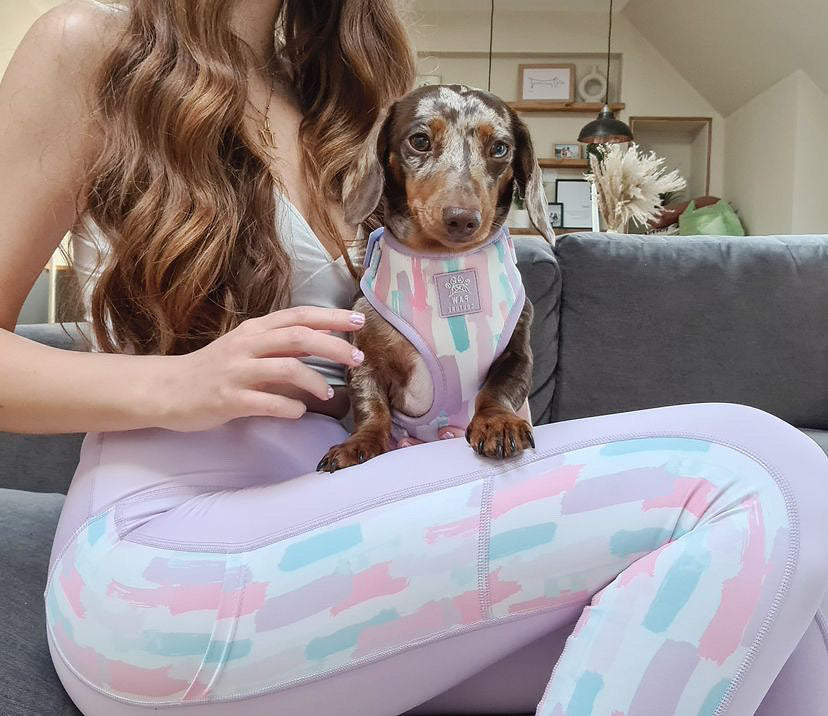 Pawcasso Activewear Leggings