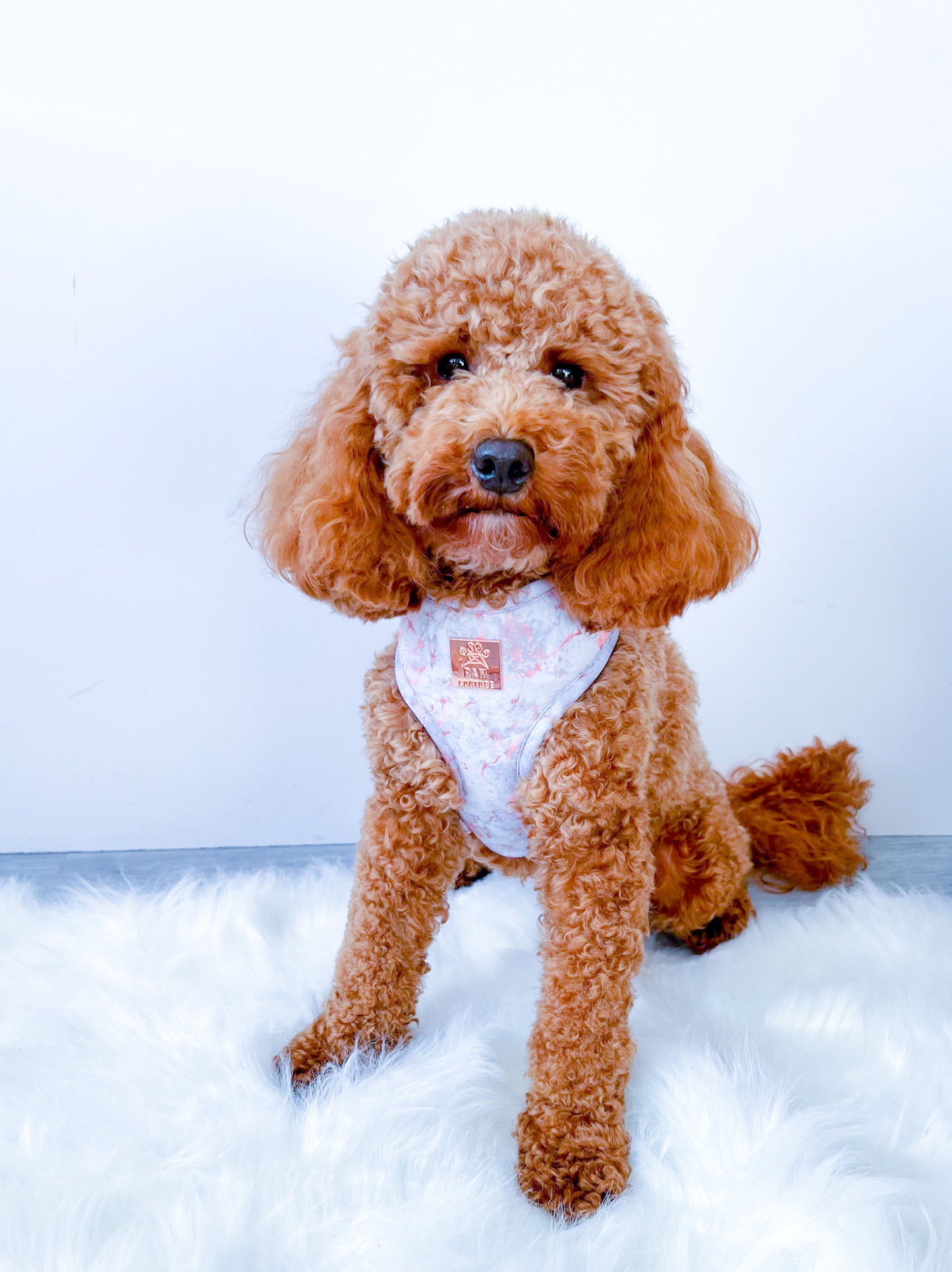 Rose Gold Marble Adjustable Harness & Lead Bundle