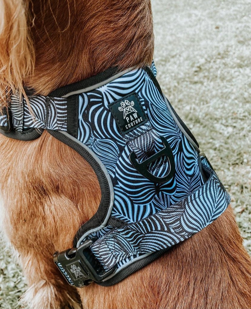 Onyx Jungle Hercules Harness for Big Dogs