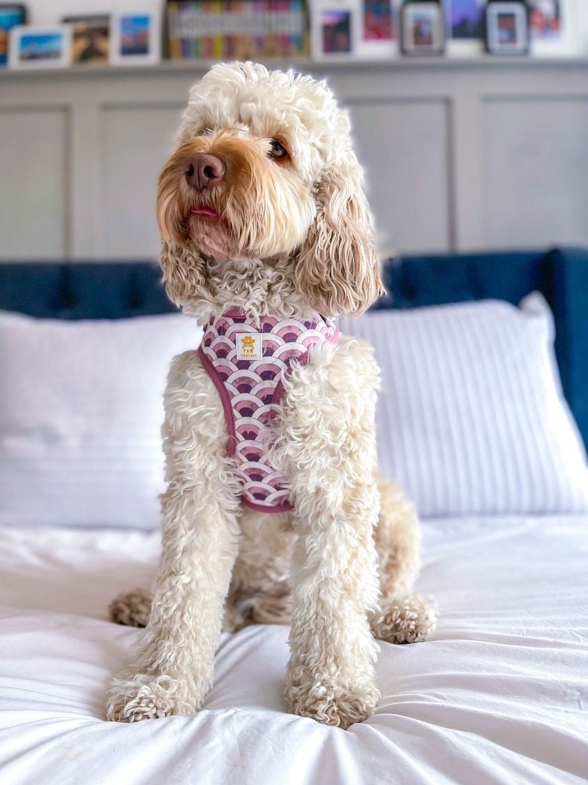 Marble Arch Adjustable Harness