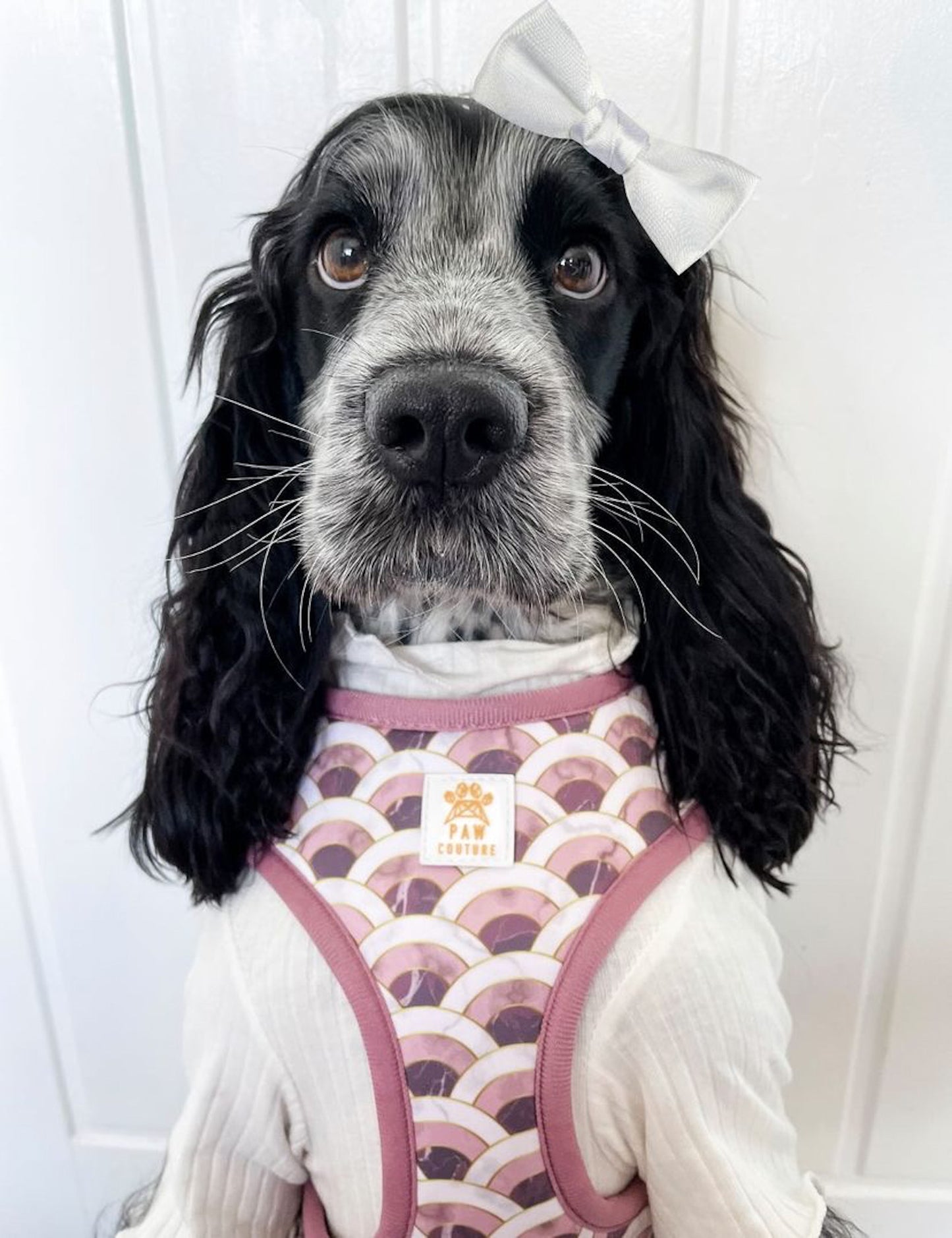 Marble Arch Adjustable Harness