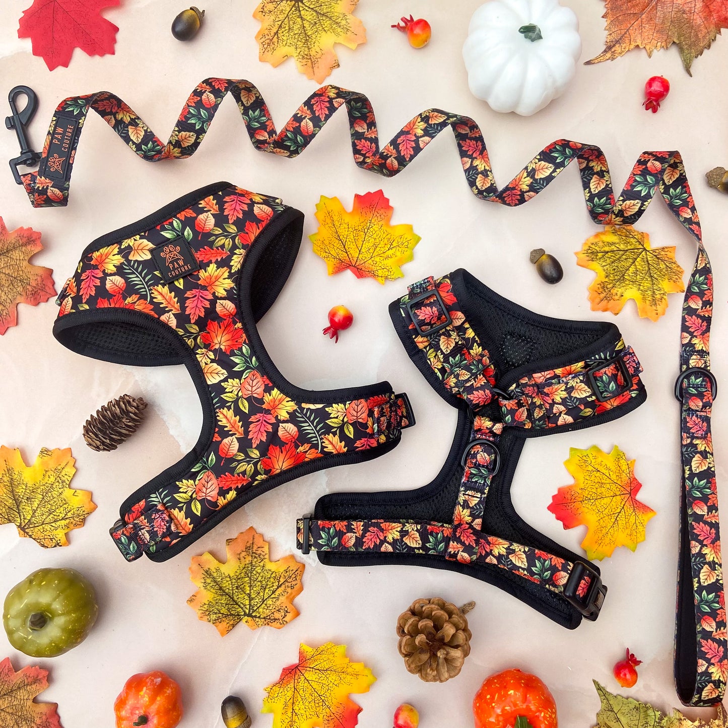 Changing Seasons Lead