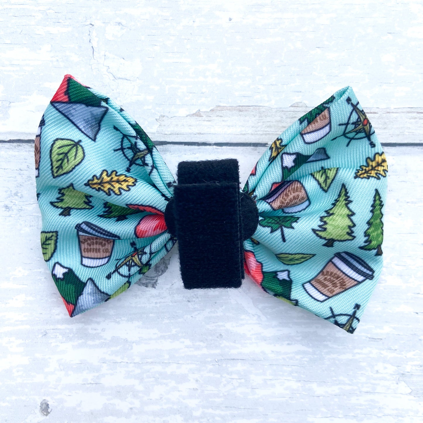 Adventure Bound Bow Tie
