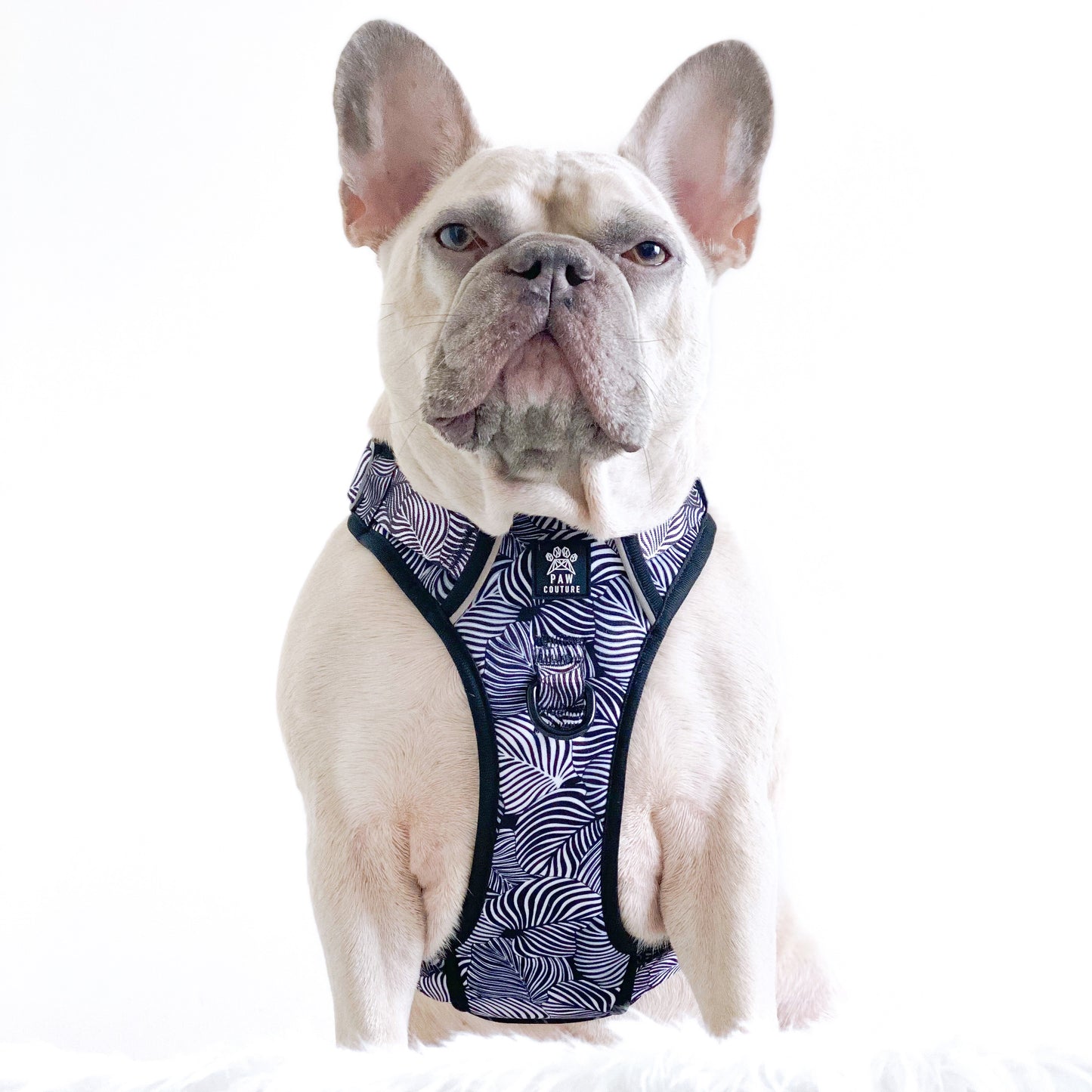Onyx Jungle Hercules Harness for Big Dogs