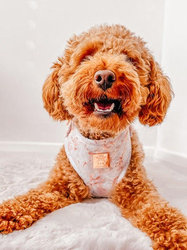 Rose Gold Marble Adjustable Harness & Lead Bundle