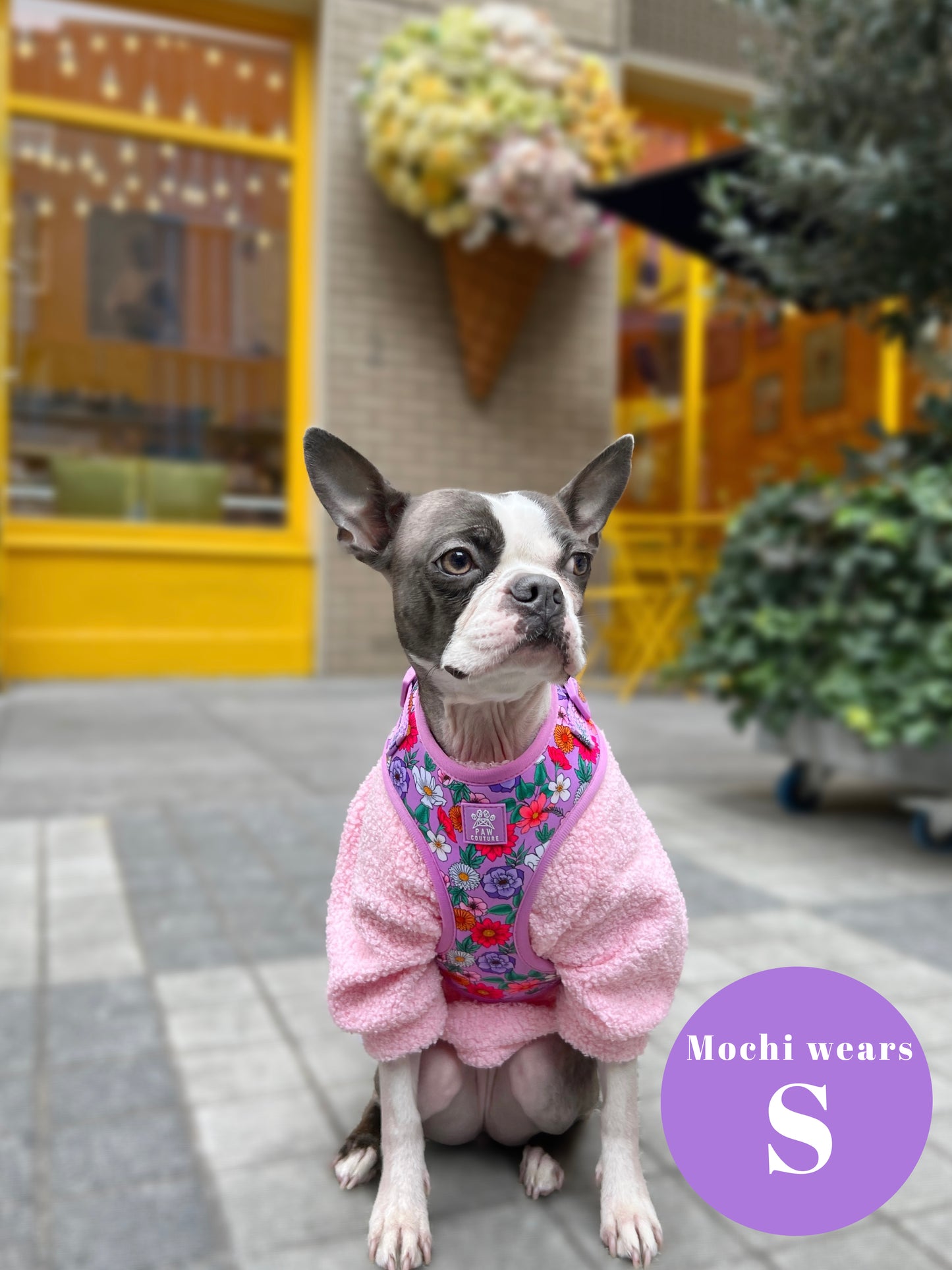 Blossom Adjustable Harness