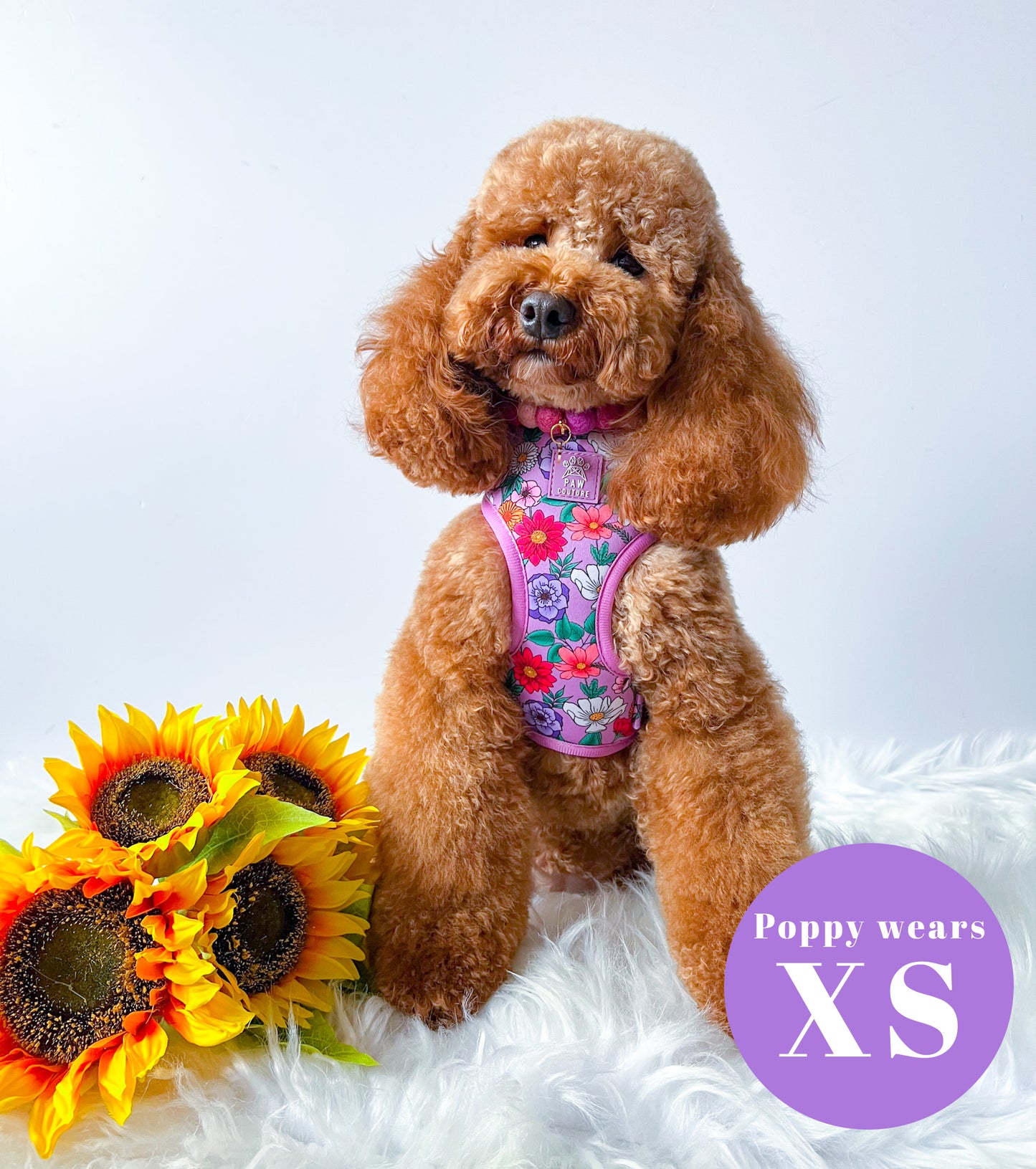 Blossom Adjustable Harness