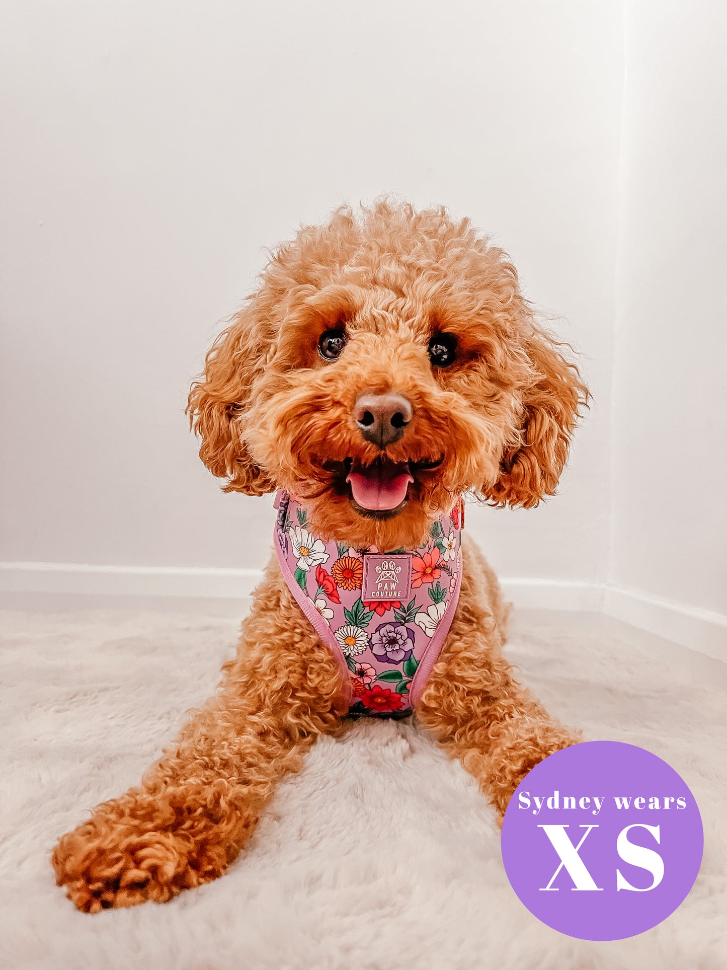 Blossom Adjustable Harness
