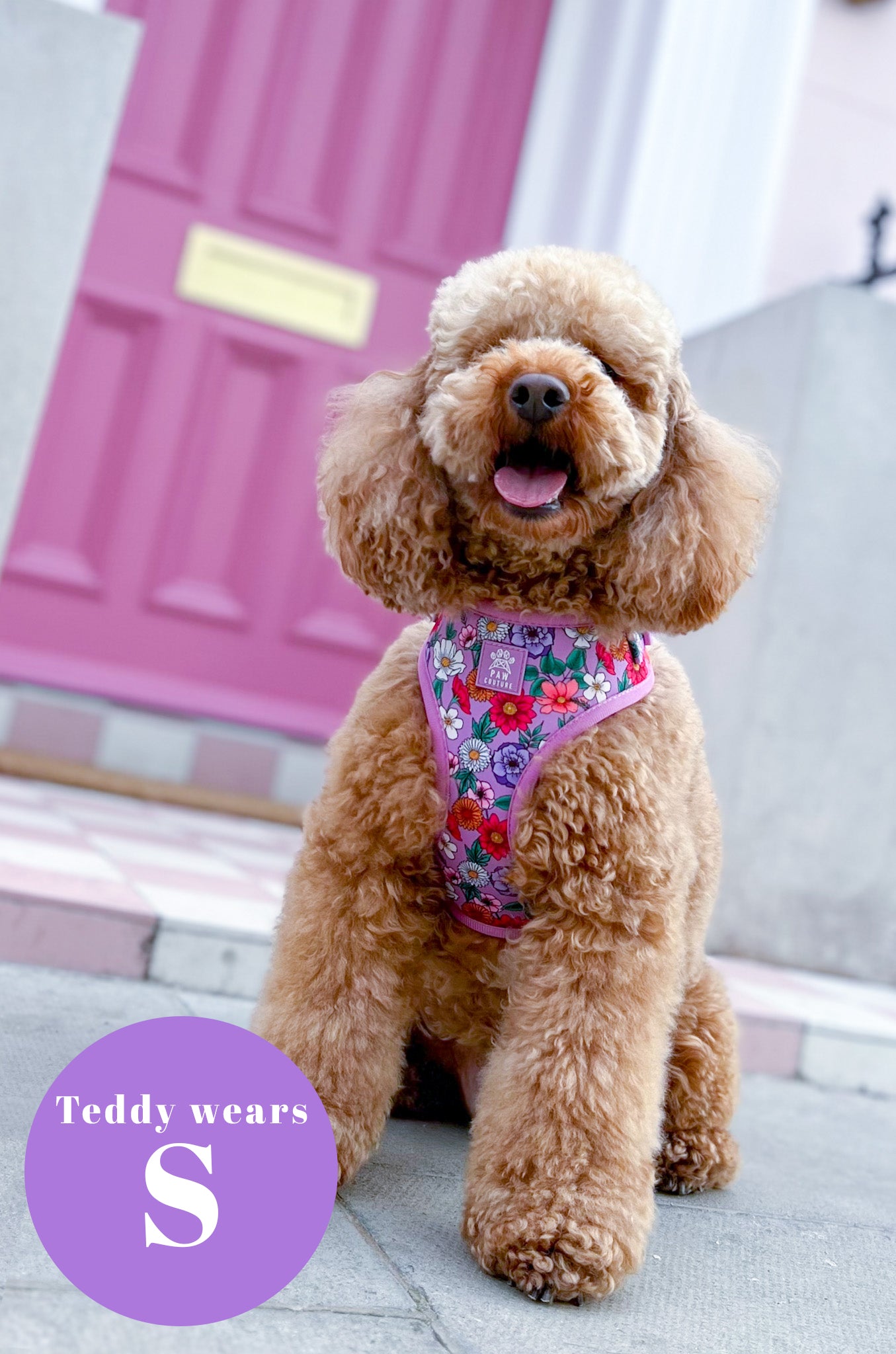 Blossom Adjustable Harness