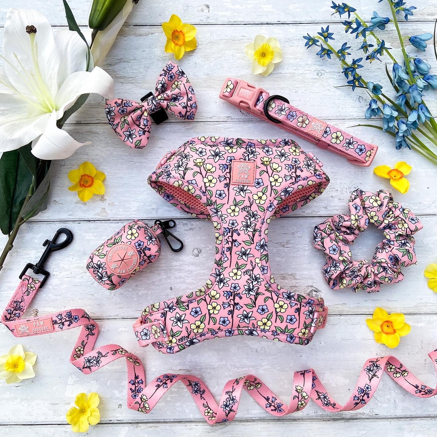 Sale | Up to 80% off – Paw Couture