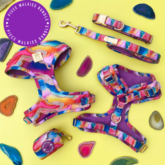 Rainbow Agate Deluxe Four Piece Walkies Bundle - Save £20