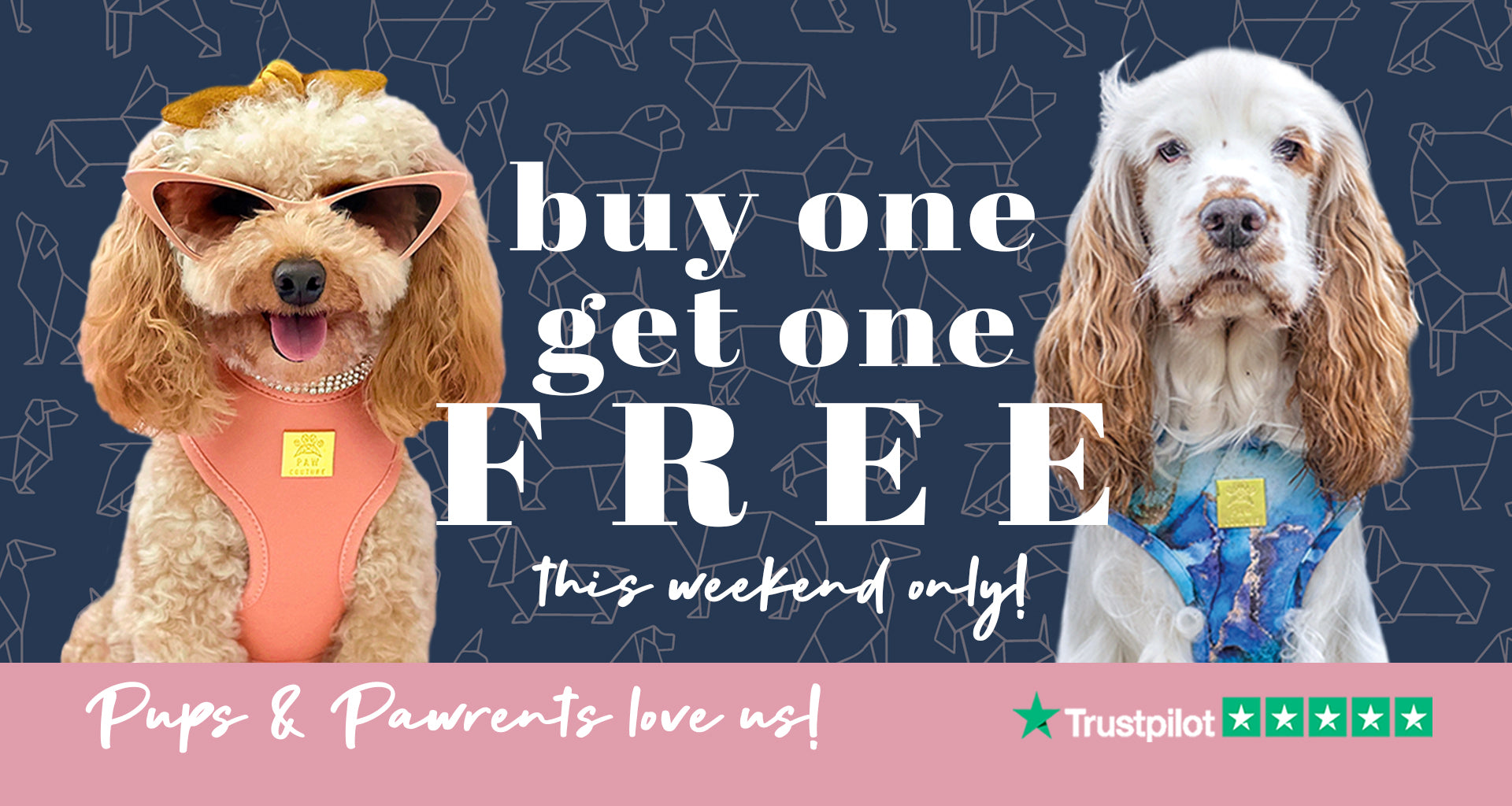 Paw Couture | The Luxury Dog Accessories Store | Dog Harnesses & More!