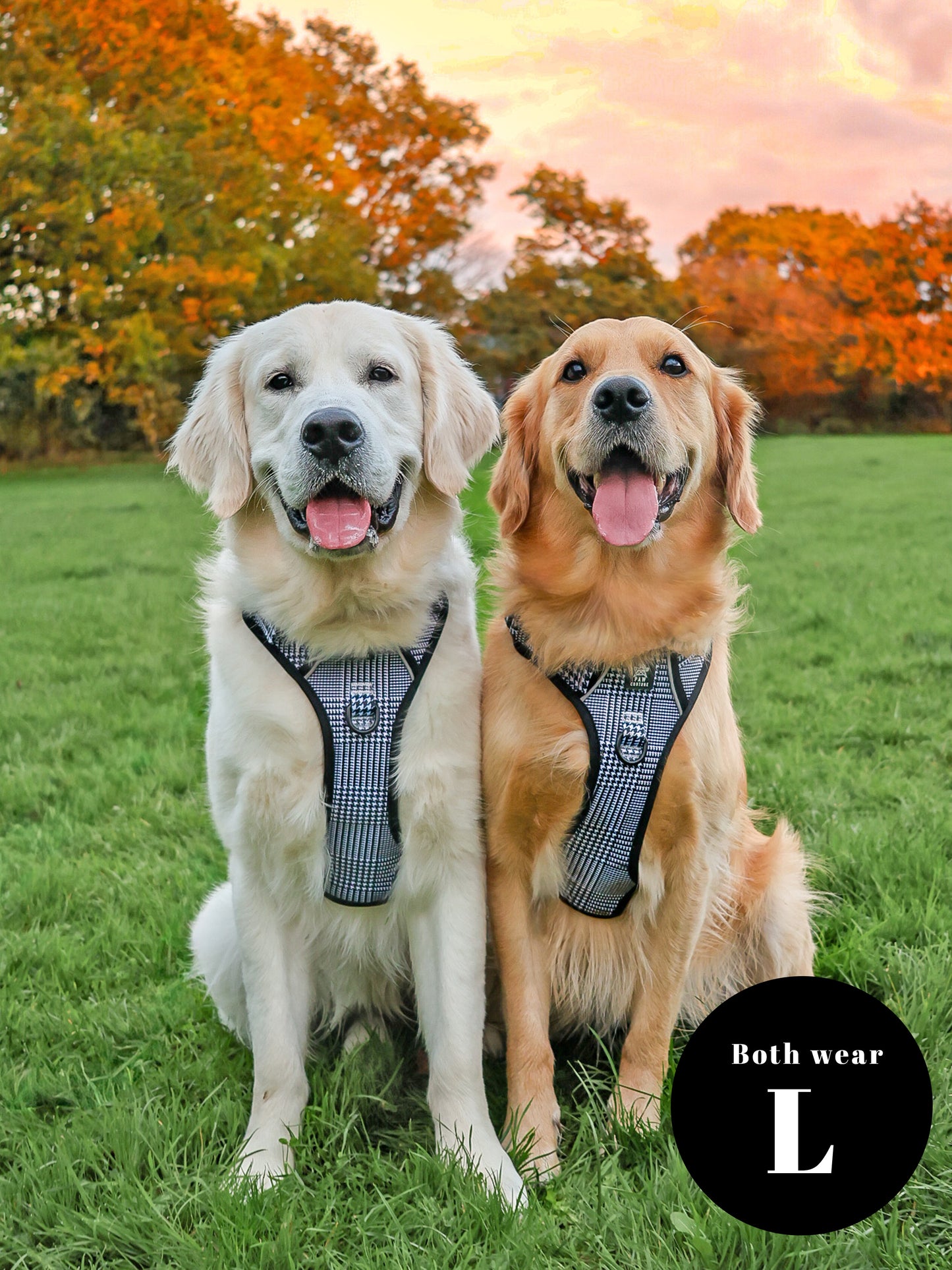 City Houndstooth TrailBlazer Harness & Lead Bundle