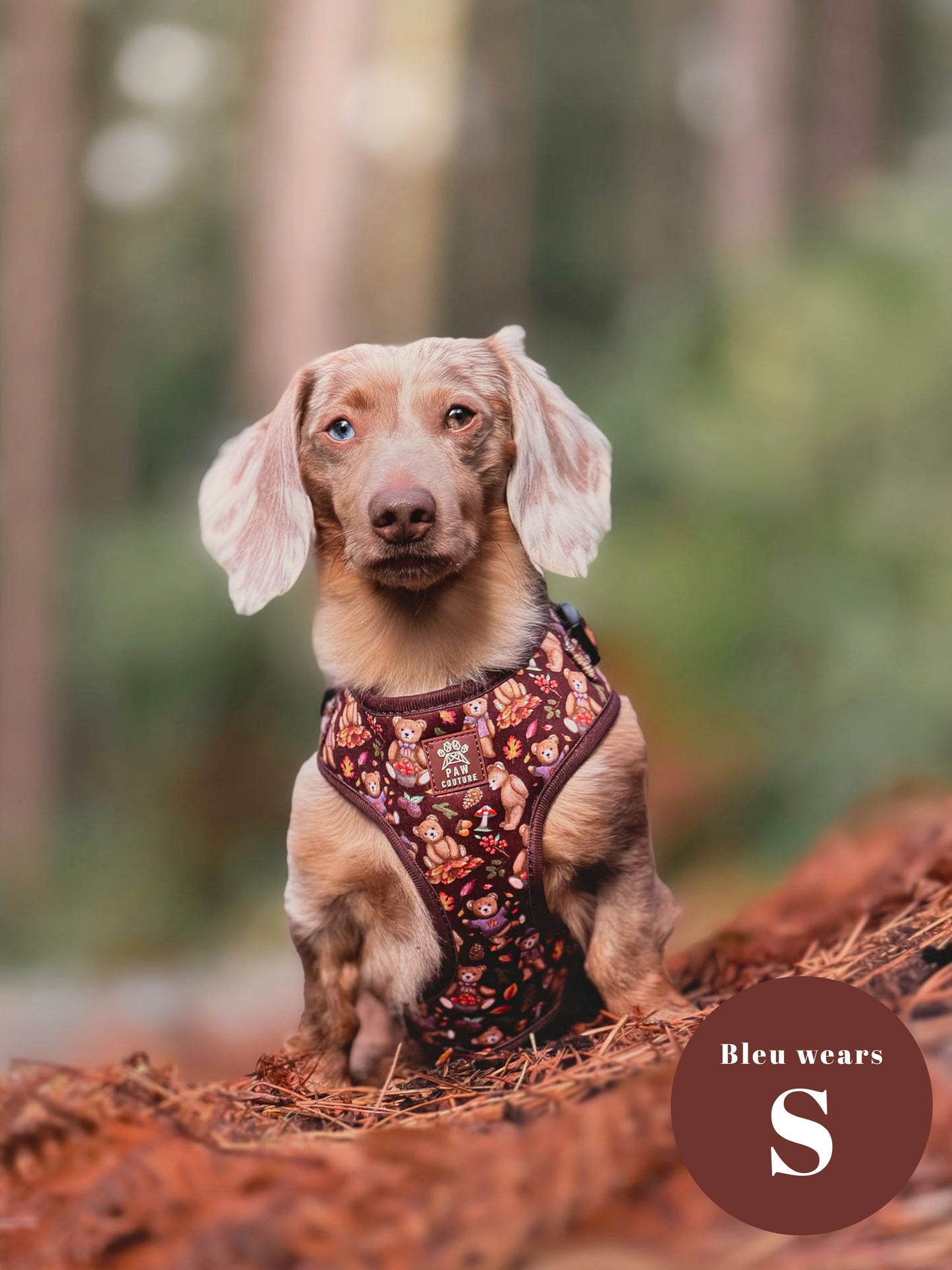 Forest Friends Adjustable Harness & Lead Bundle