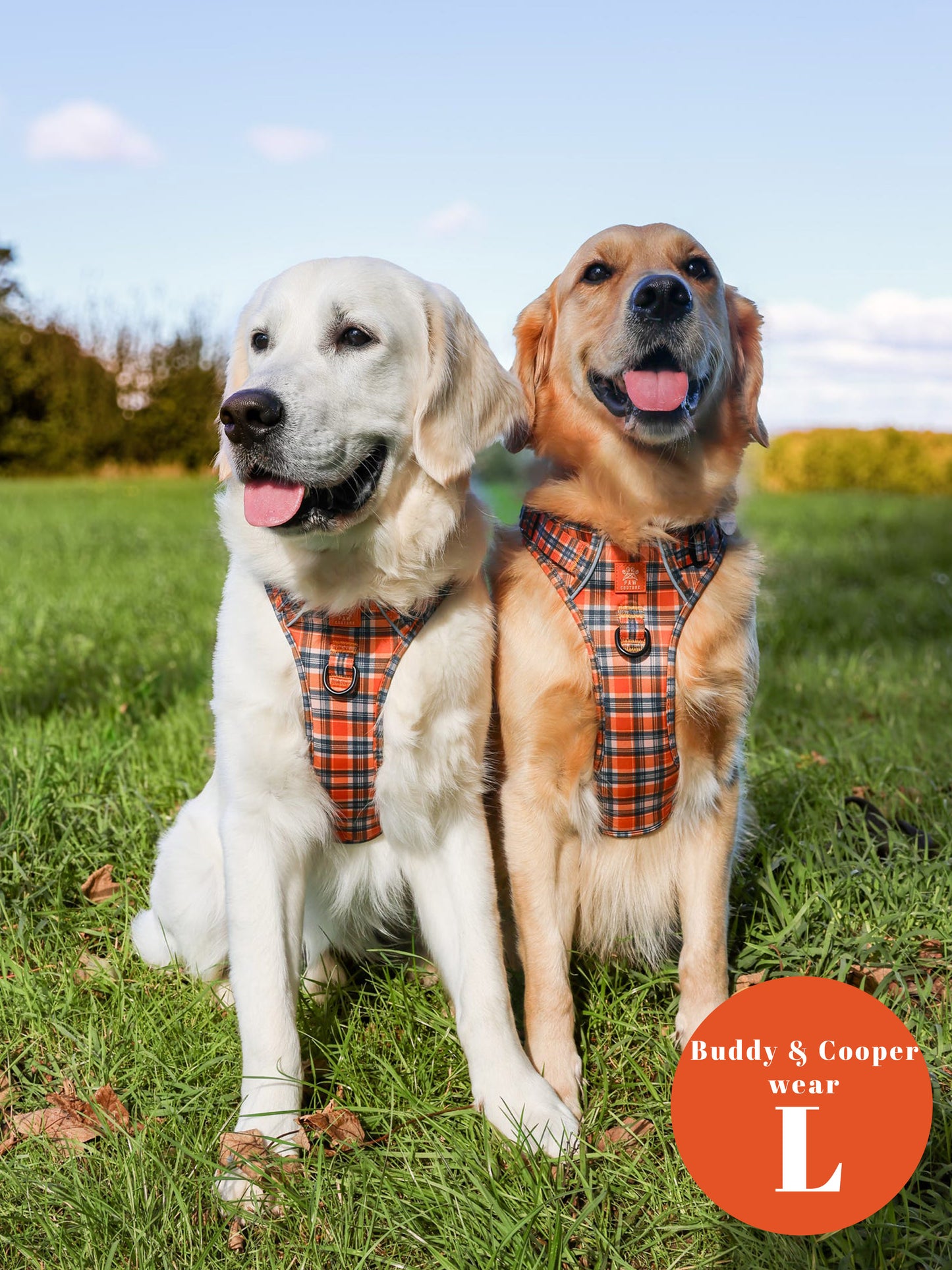 Rustic Plaid Step-in Harness & Lead Bundle