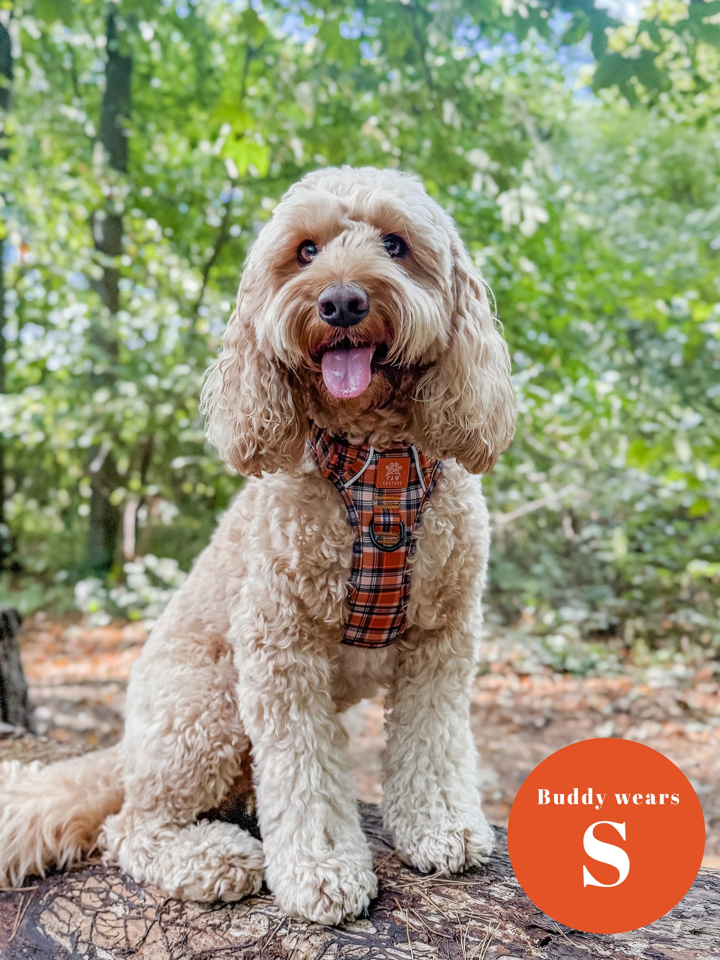 Rustic Plaid Step-in Harness & Lead Bundle