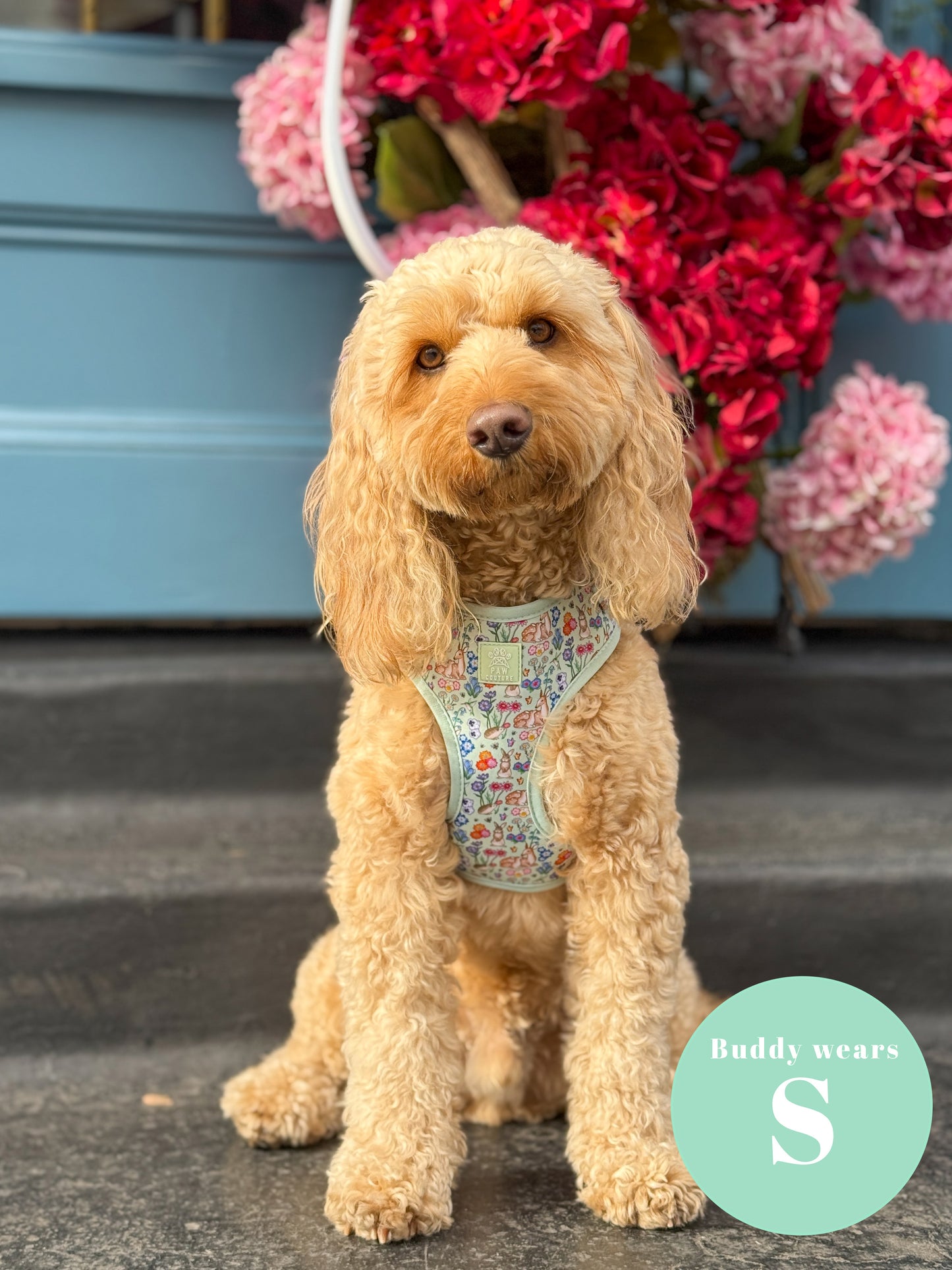 Flora & Fauna Adjustable Harness