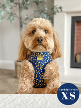 Load image into Gallery viewer, Golden Confetti Deluxe Five Piece Walkies Bundle - Save £25
