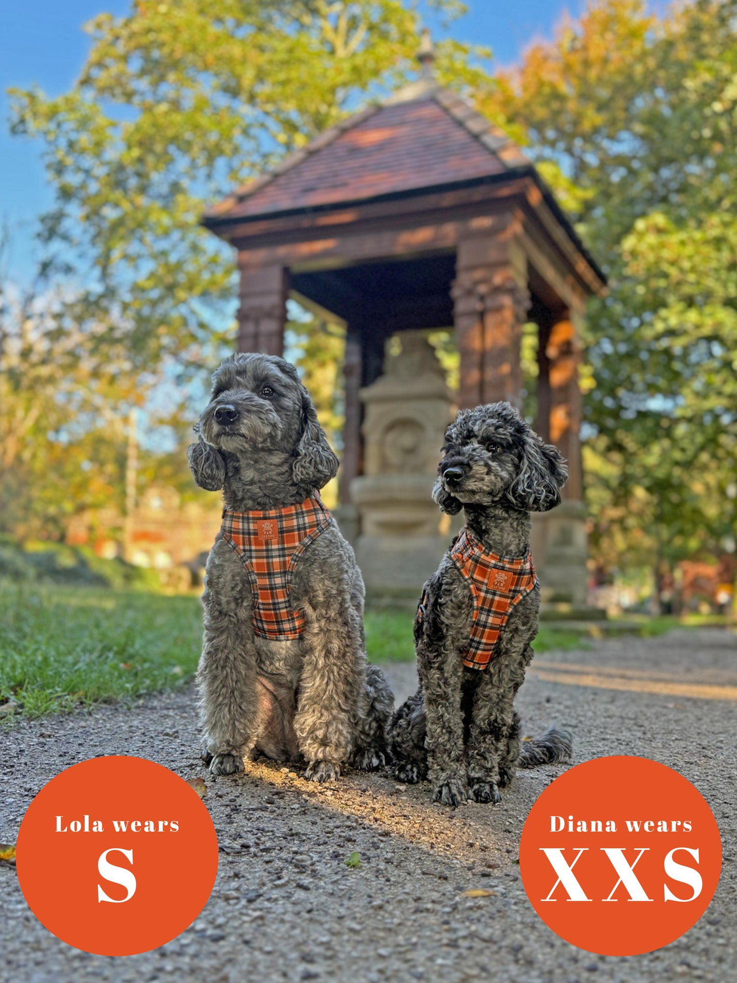 Rustic Plaid Adjustable Harness & Lead Bundle