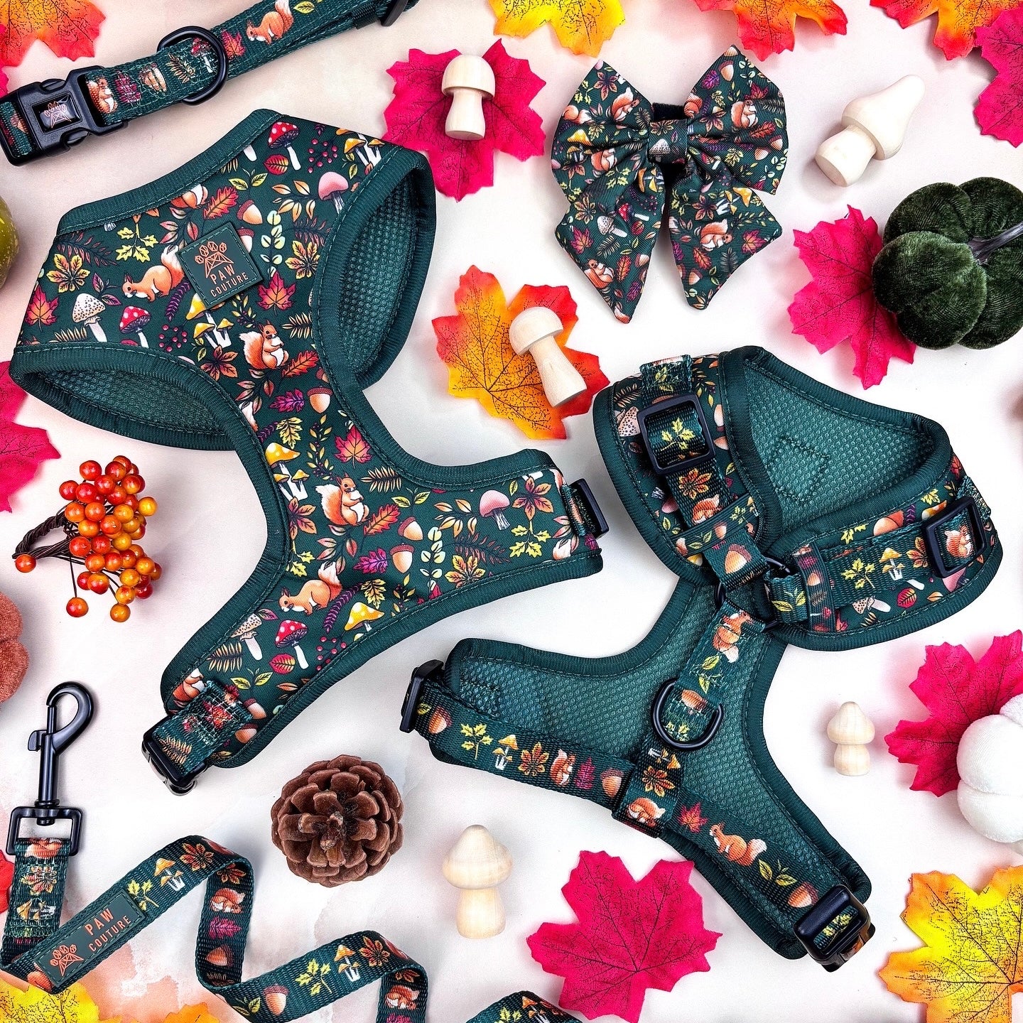 Into the Woods 4 Piece Walkies Bundle - Save £20