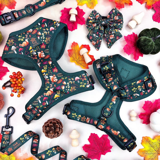 Into the Woods 4 Piece Walkies Bundle - Save £20