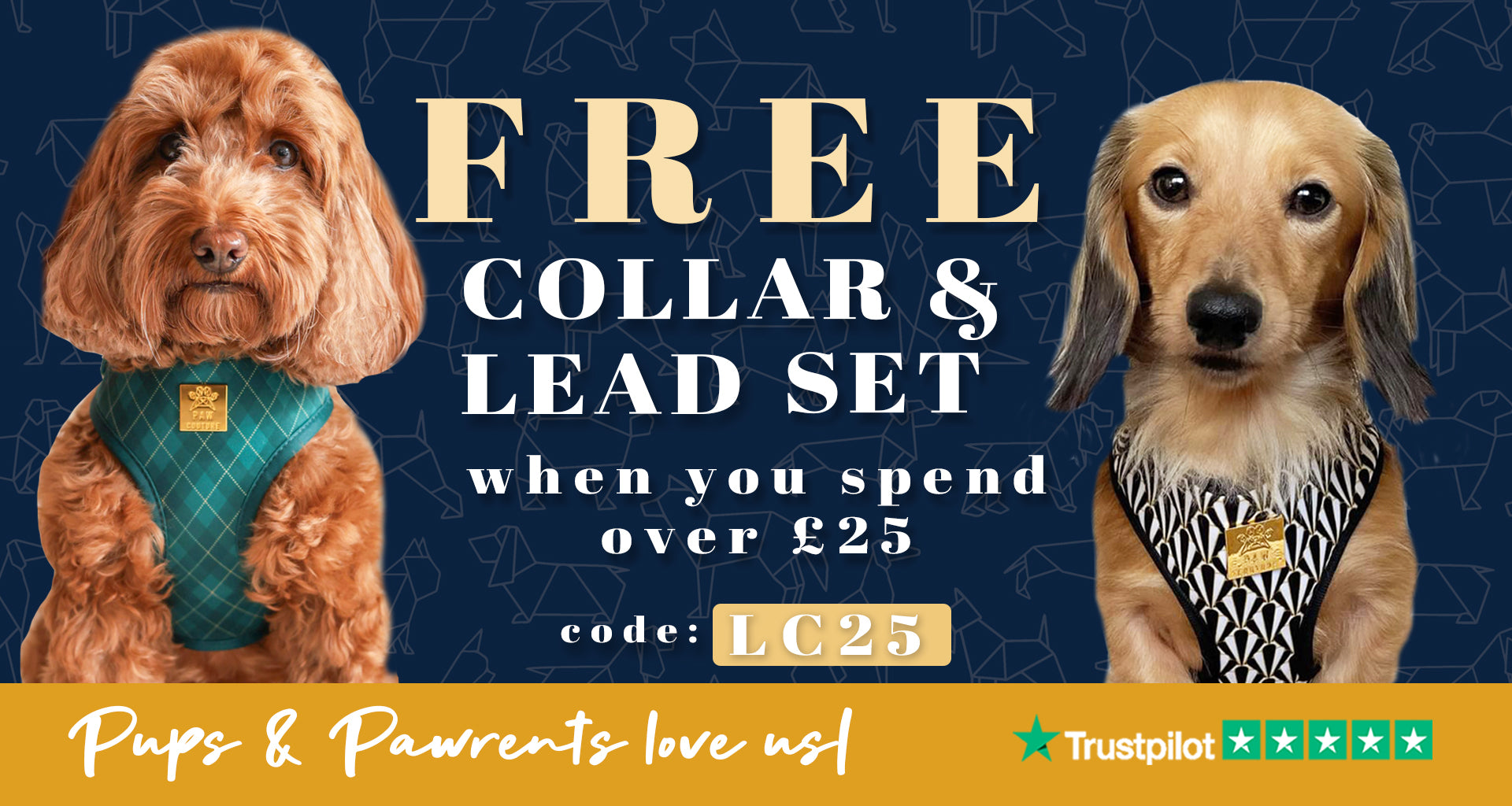 Paw Couture | The Luxury Dog Accessories Store | Dog Harnesses & More!
