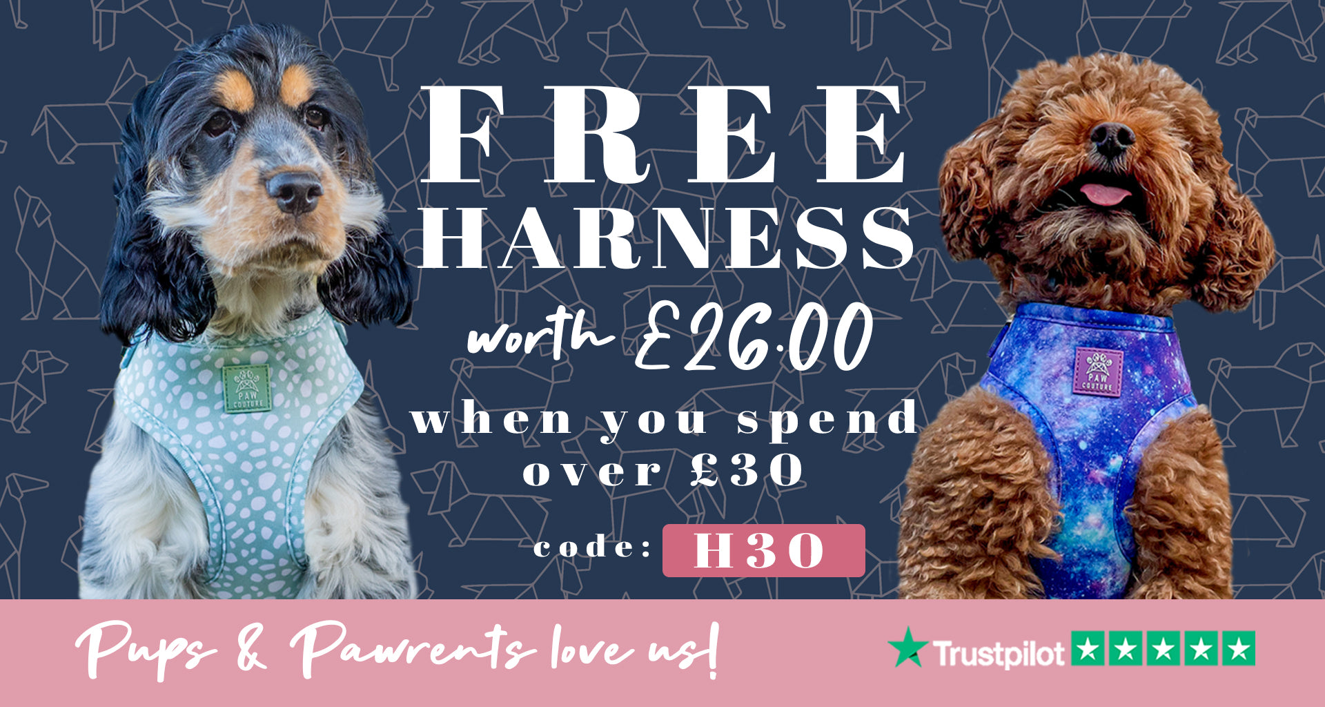 Paw Couture | The Luxury Dog Accessories Store | Dog Harnesses & More!