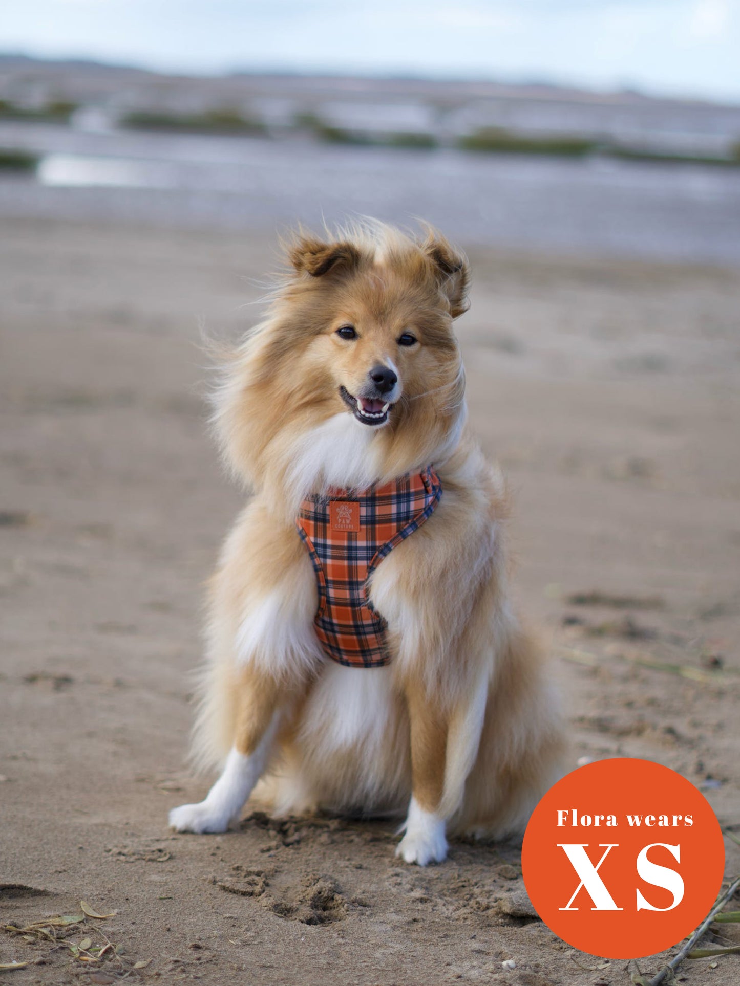 Rustic Plaid Adjustable Harness & Lead Bundle