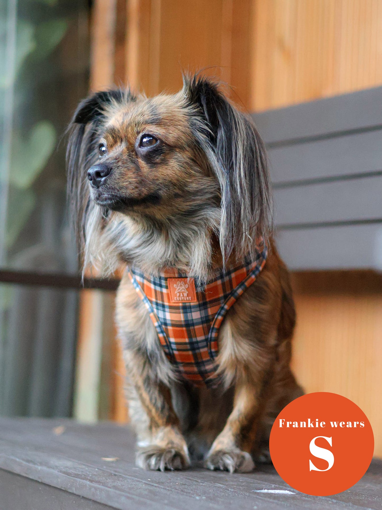Rustic Plaid Adjustable Harness & Lead Bundle