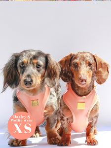 Malibu Sunset Deluxe Vegan Leather Adjustable Harness