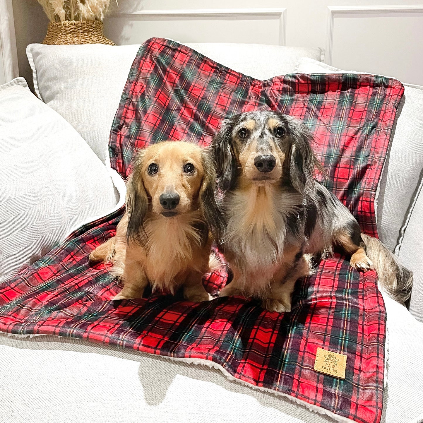 Tartan Deluxe Dog Blanket