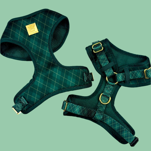 Argyle Deluxe Adjustable Harness