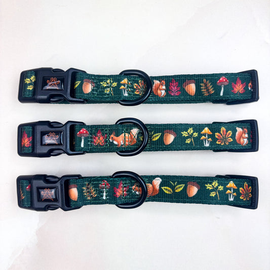Into The Woods Collar