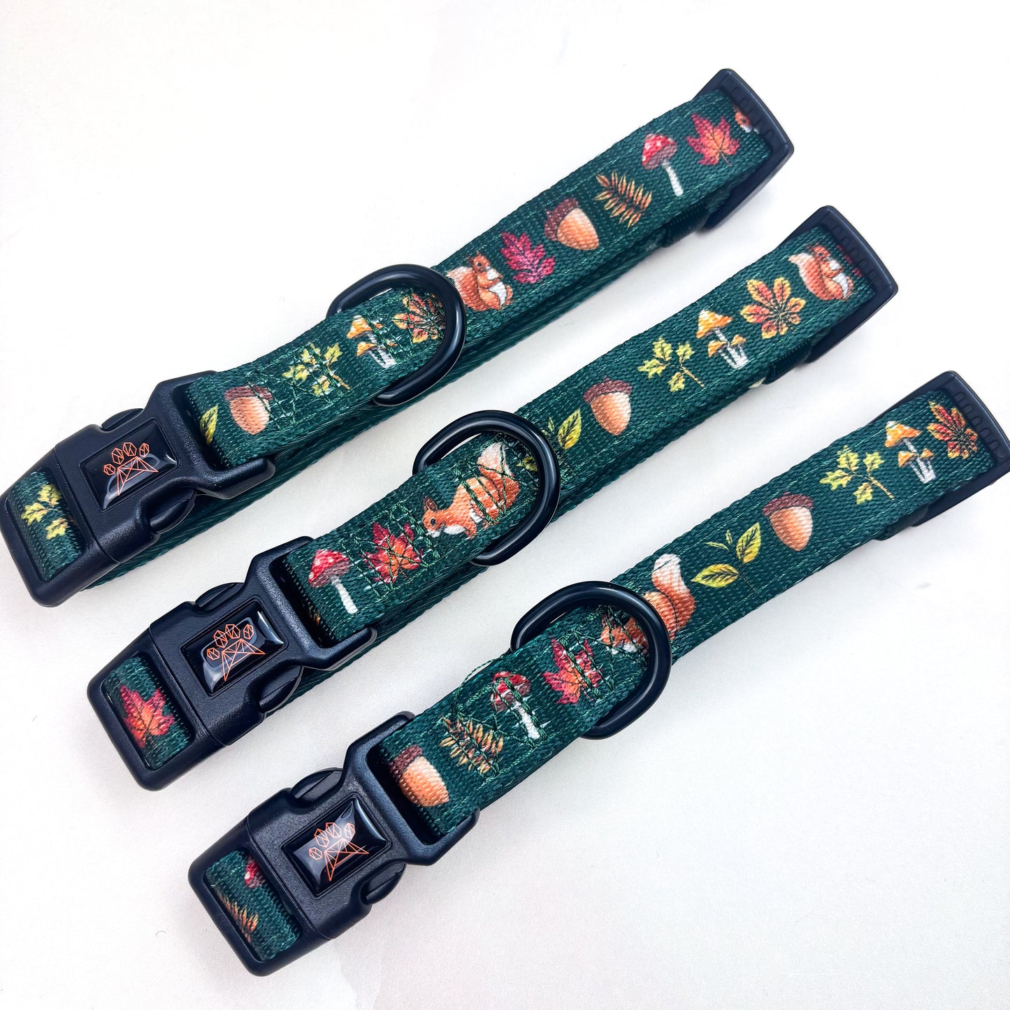 Into The Woods - Collar & Lead Bundle