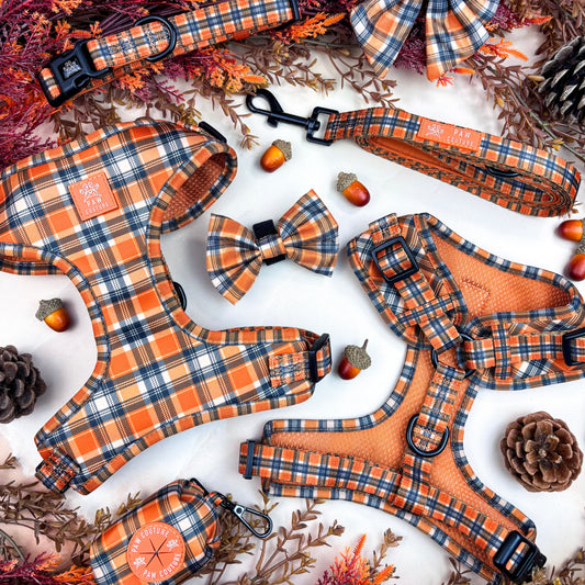 Rustic Plaid Five Piece Walkies Bundle with Standard Bow - Save £20
