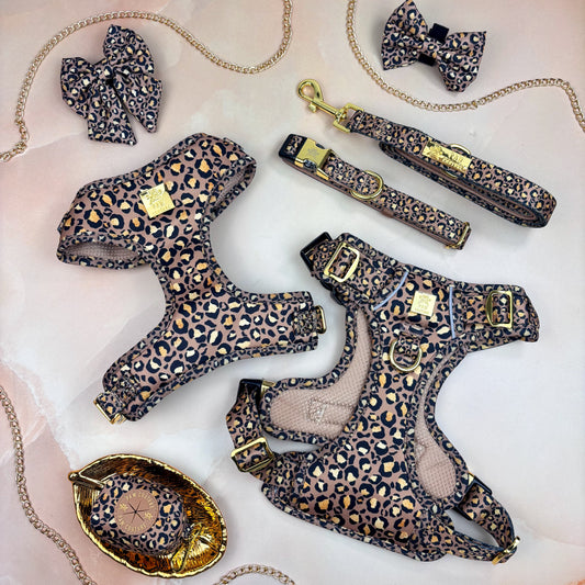 Tan Safari Deluxe Five Piece Walkies Bundle - Save £20