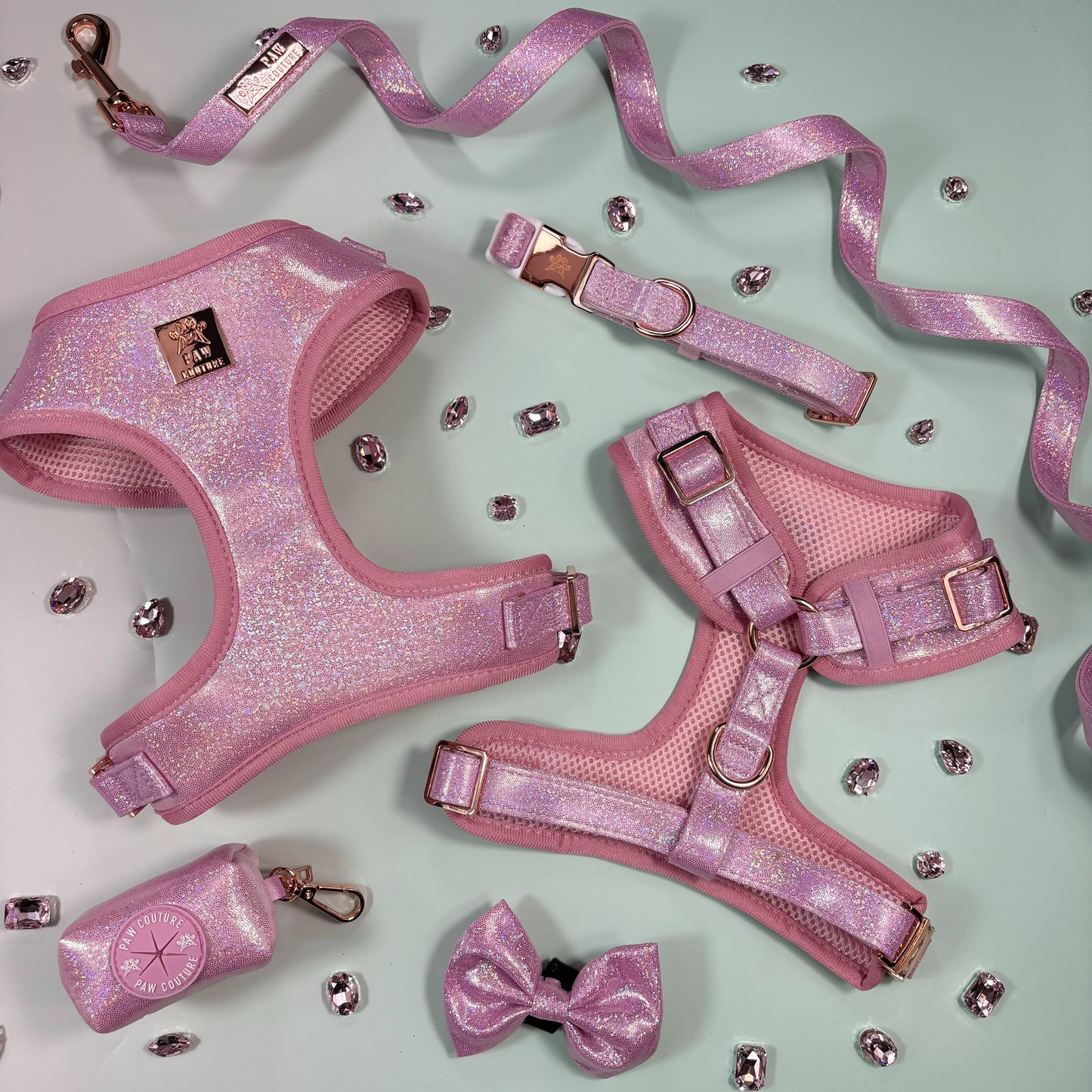 Pink Champagne Party Deluxe Five Piece Walkies Bundle - Save £20