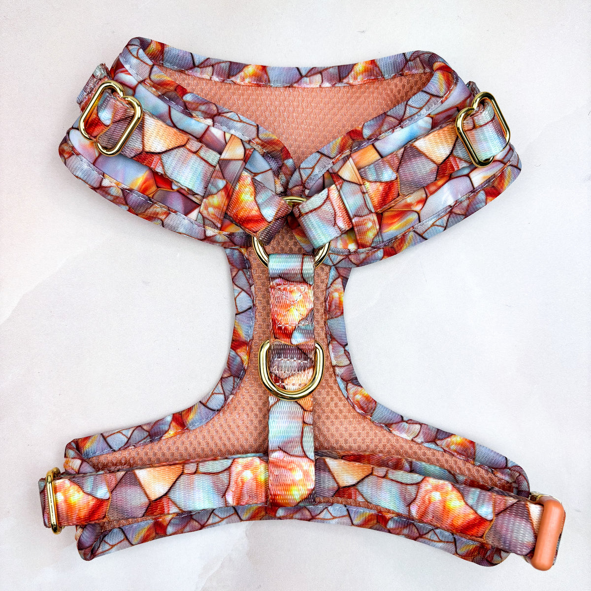 Amber & Opal Deluxe Five Piece Walkies Bundle - Save £20