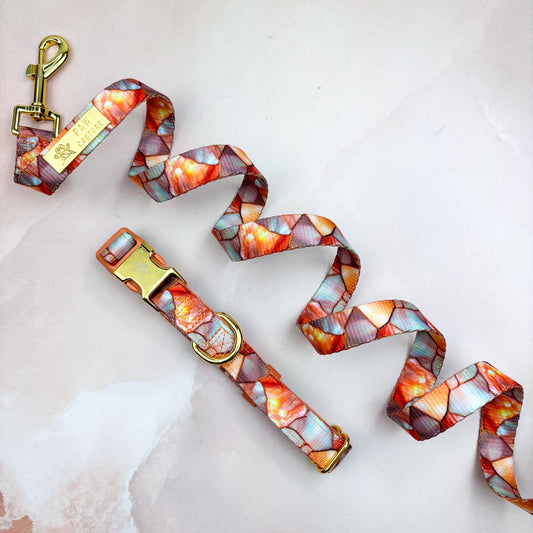 Amber & Opal Deluxe Deluxe  - Collar & Lead Bundle