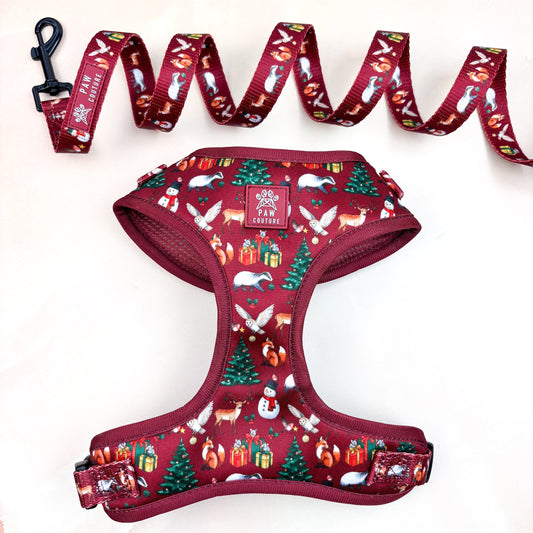 Christmas Gathering Adjustable Harness & Lead Bundle
